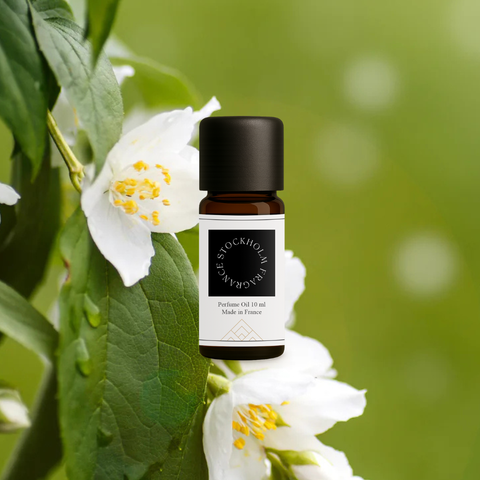 No. 12 - Cedar & Jasmine