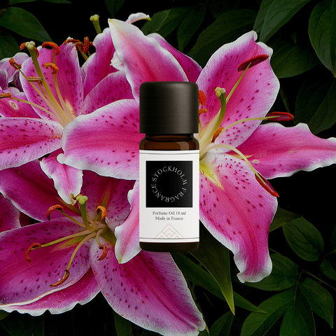 No 1 Meadow Lily & Cotton Musk