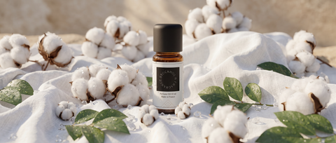 Exquisite scents, crafted in Grasse