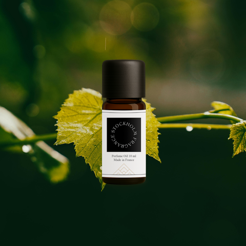 No. 27 - White Grape Leaf