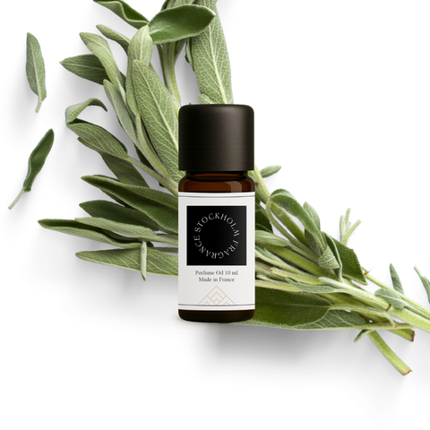 No. 6 White Tea & Sage