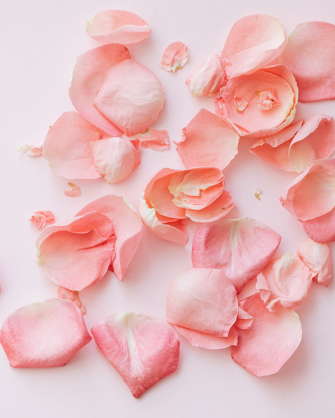 No 24 Rose Petals | Nyhet