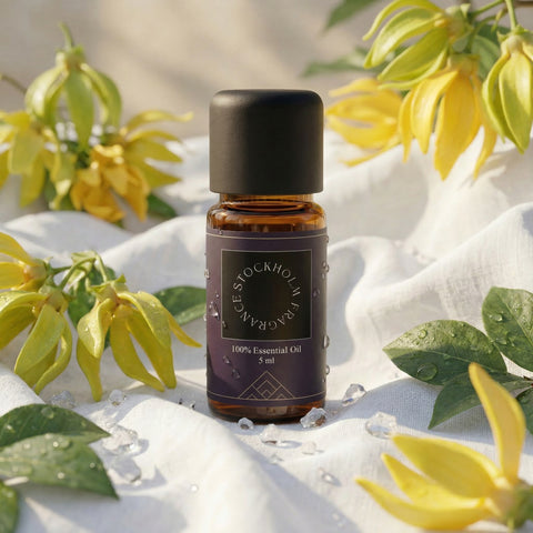 Ylang Ylang